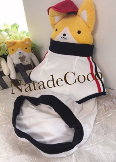 画像3: コーギー◆白い体操着