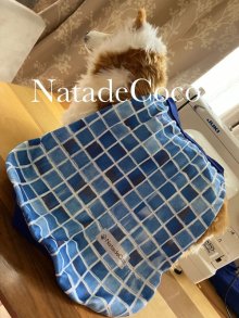 他の写真3: 青ブロック柄◆冷え冷えタンク