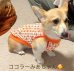 画像8: 水色ハイビスカス◆冷え冷えレースワンピース