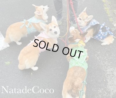 画像5: ピンク南国の花◆撥水バンダナ帯エプロン 