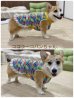 画像6: レモン◆冷え冷えレースワンピース