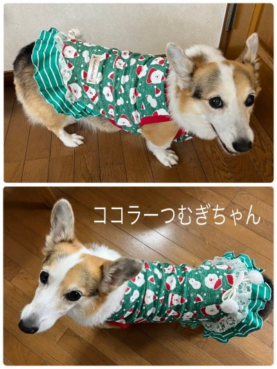 画像4: クリスマスサンタさん◆フリフリワンピース