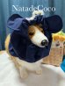 画像3: ネイビーくまさん★コーギー撥水耳付きスヌード (3)