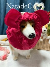 チェリーピンクくまさん★コーギー撥水耳付きスヌード