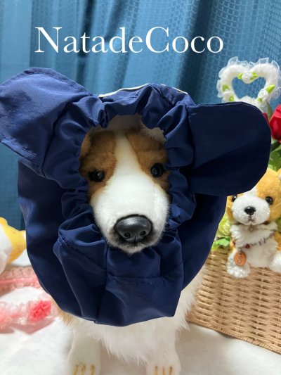 画像1: ネイビーくまさん★コーギー撥水耳付きスヌード