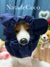 画像1: ネイビーくまさん★コーギー撥水耳付きスヌード (1)