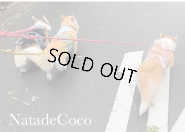 画像6: ピンク南国の花◆撥水バンダナ帯エプロン  (6)