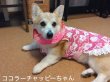 画像5: ピンクハイビスカス◆冷え冷えレースワンピース (5)