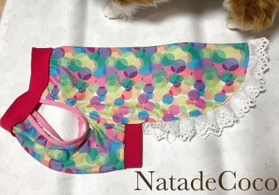 画像1: シャボン玉◆冷え冷えレースワンピース