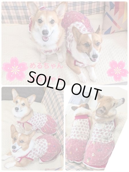 画像6: お花のシフォンチュール◆ワンピース (6)