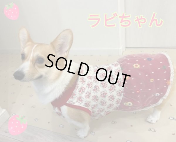 画像7: お花のシフォンチュール◆ワンピース (7)