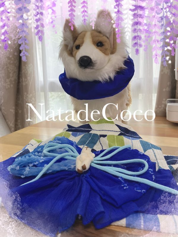 矢絣ブルー◇コーギー浴衣（首用のシュシュ付き） - Natade Coco -コーギー＆中型犬の手作り服屋さん-